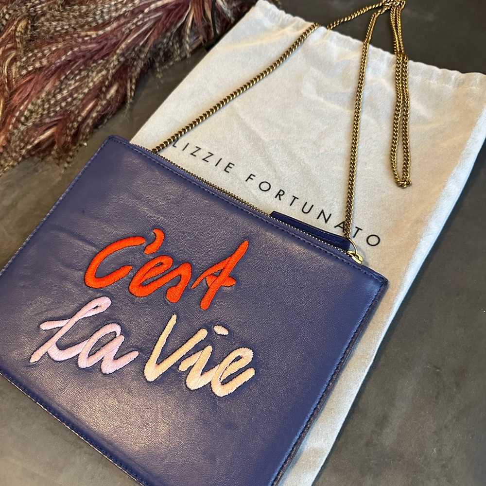 Lizzie Fortunato leather clutch with chain